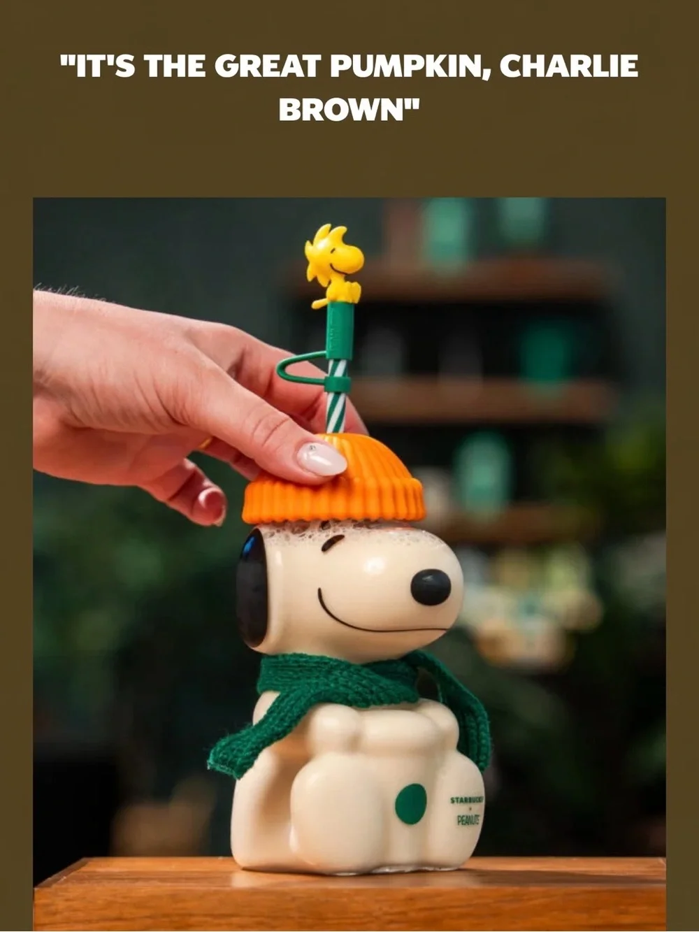 🔴 Peanuts + Starbucks Snoopy Cold Cup